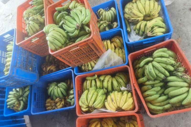 भन्सार छलीका केरा र कुखुरा बरामद, कारबाहीका लागि बुझाइयो