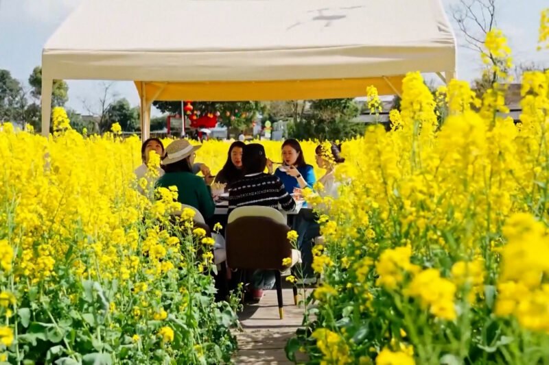 तोरीबारीमा बसेर डिनर खाने सुन्दर पर्यटकीय गन्तब्य बन्दै चीन