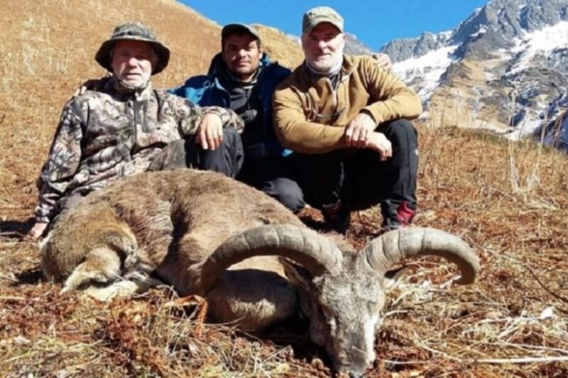 ढोरपाटनमा दोस्रो यामको सिकार सुरु, विदेशी सिकारीहरूको आकर्षण बढ्दो