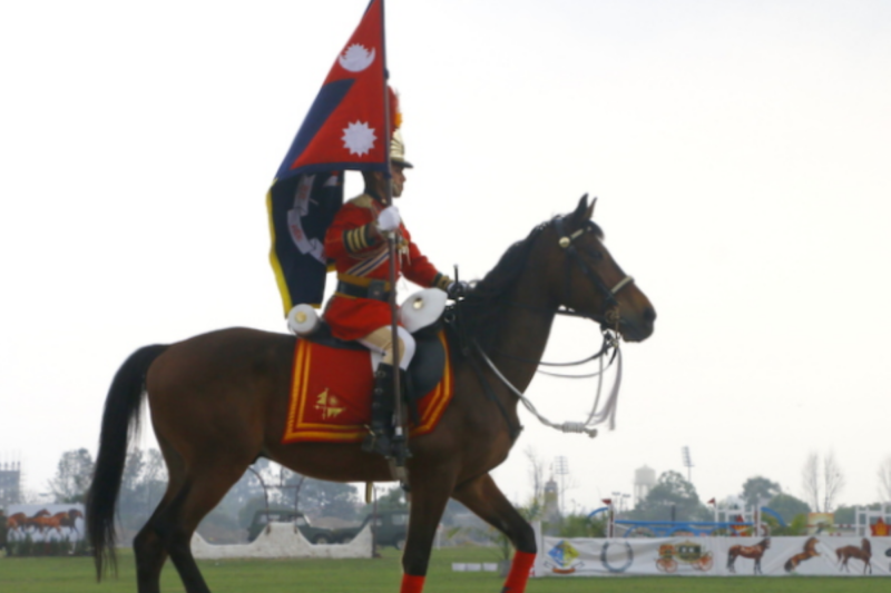 काठमाडौं उपत्यकामा आज घोडेजात्रा पर्व मनाइँदै