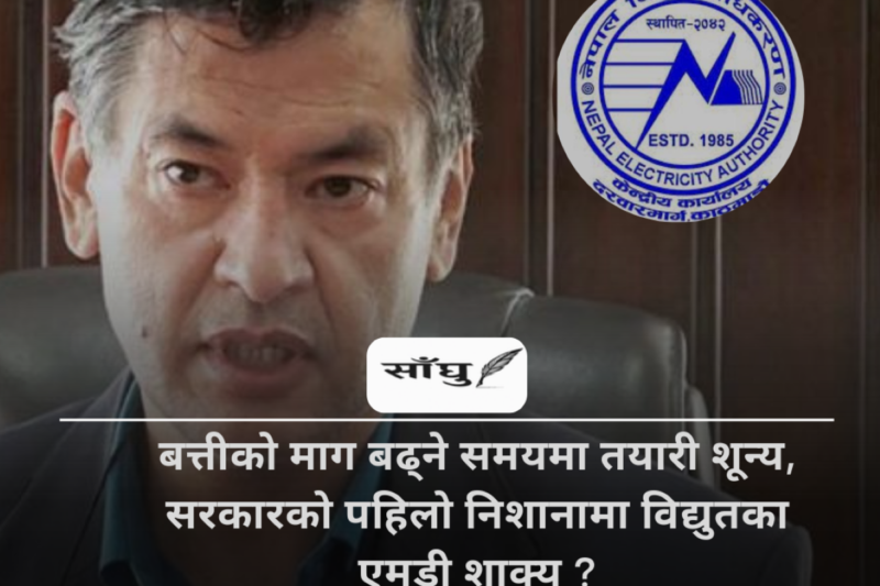बत्तीकाे माग बढ्ने समयमा तयारी शून्य, कारवाहीकाे पहिलाे निशानामा विद्युतका एमडी शाक्य ?