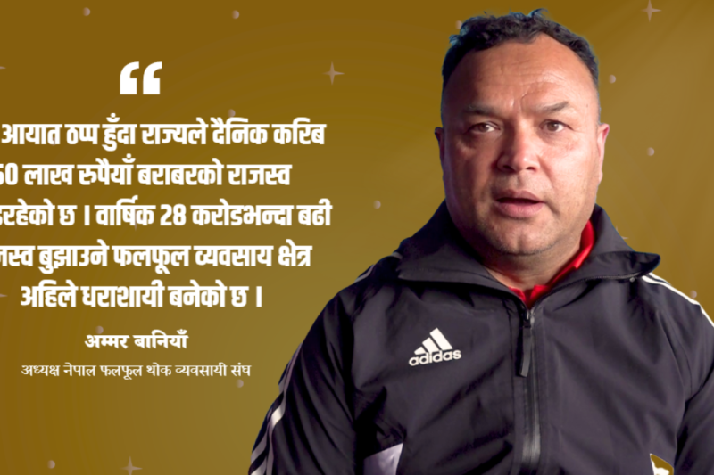 सरकारको अदूरदर्शी निर्णय : ४० प्रतिशतले बढ्यो केराको मूल्य, राज्यले गुमायो दैनिक ५० लाख राजस्व
